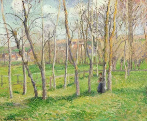 Meadow at Bazincourt, 1885